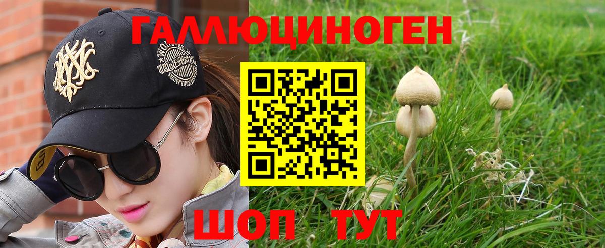 Псилоцибиновые грибы ЛСД Стерлитамак