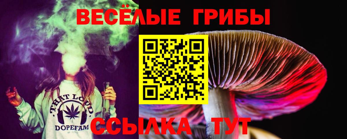 Стерлитамак  дарнет шоп  Вход с VPN  Галлюциногенные грибы Psilocybe 